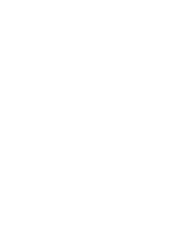 Asset 1